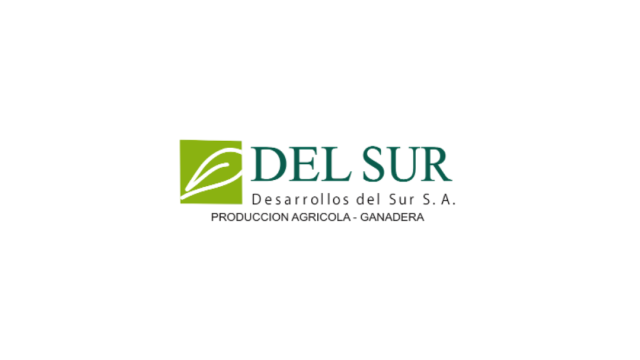 DESARROLLOS DEL SUR