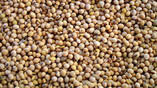 newsletter imagenes (5)