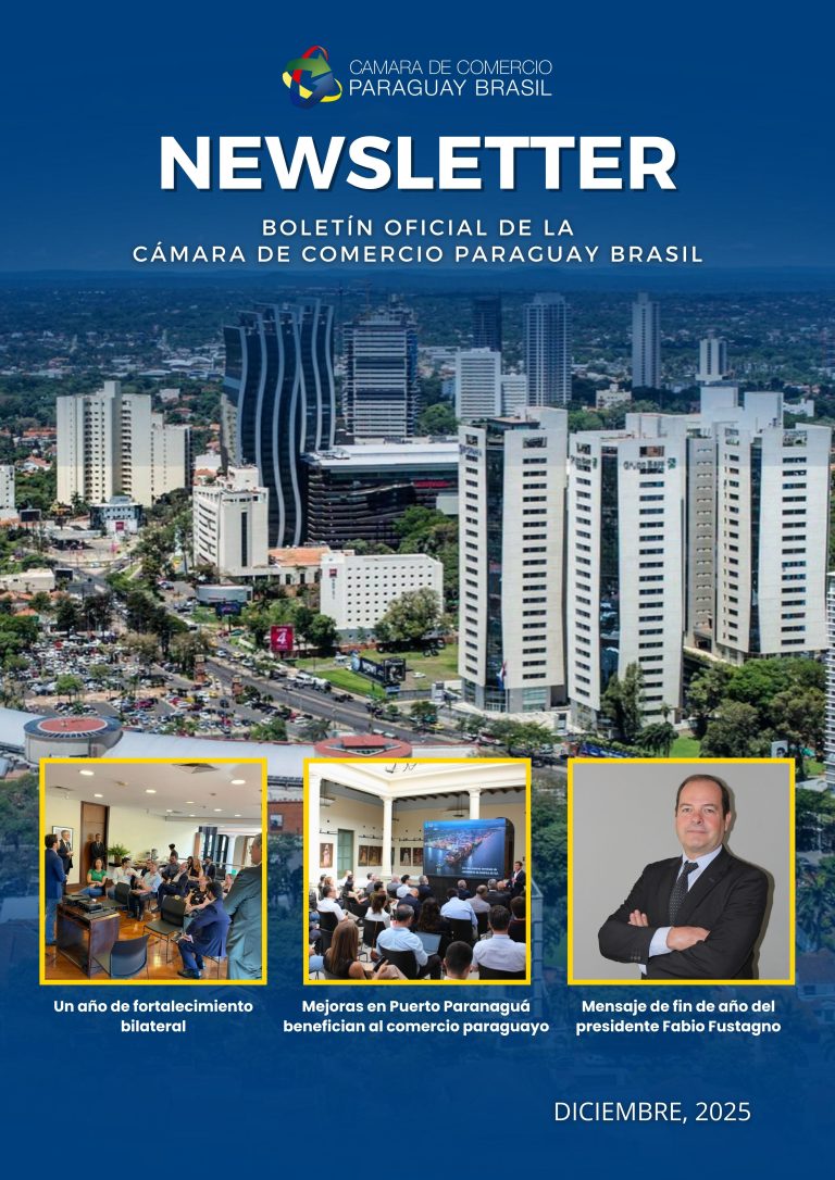 NEWSLETTER DICIEMBRE 2025
