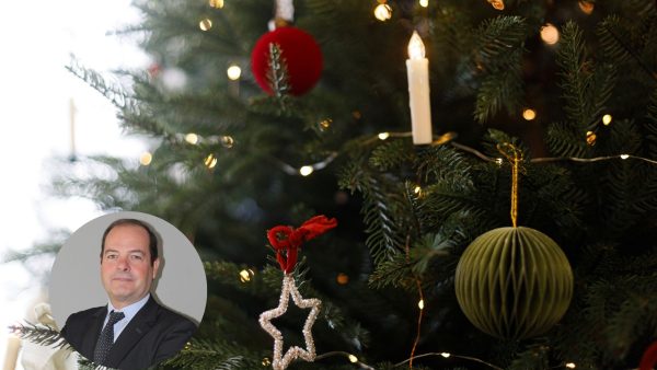 newsletter imagenes (5)