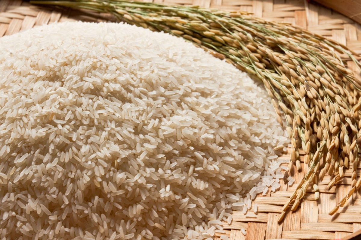 newsletter imagenes (26)