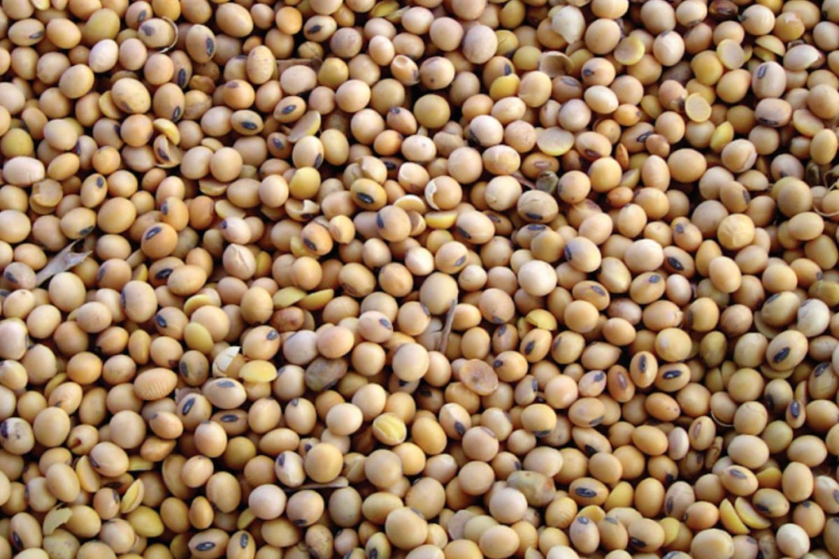 newsletter imagenes (5)