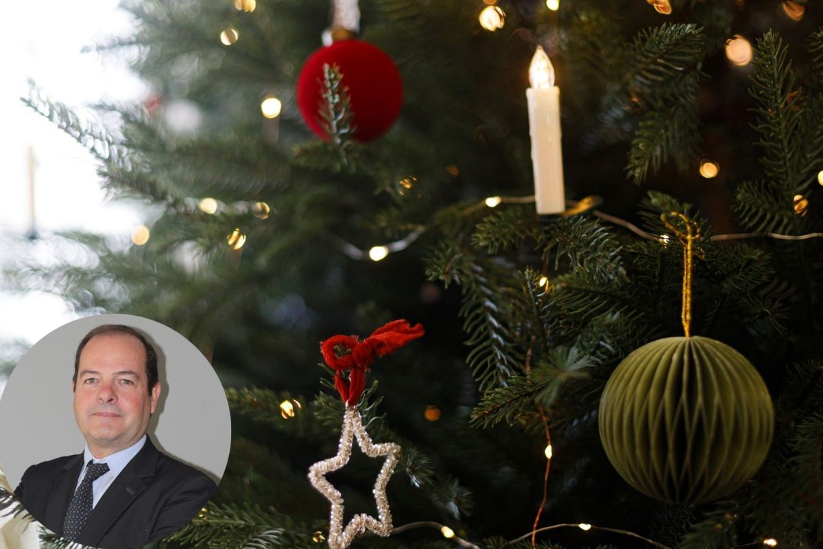 newsletter imagenes (5)