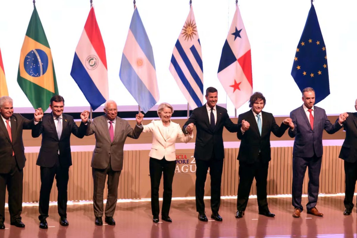 newsletter imagenes (9)